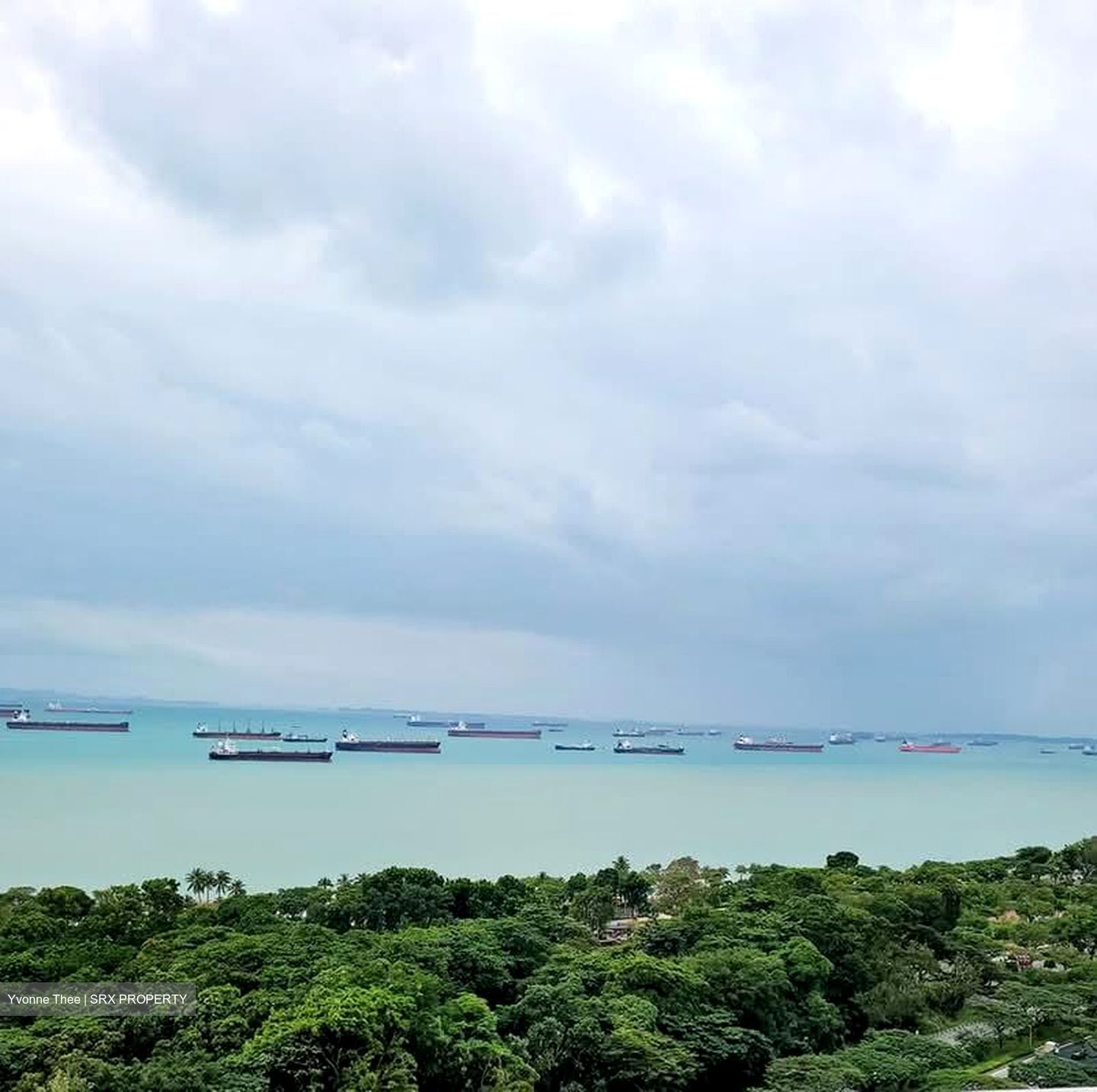 Seaside Residences (D15), Apartment #561808711
